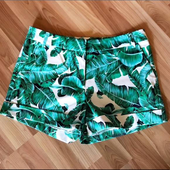 LAST PAIR! Tropical Beach Shorts - Picture 4 of 4